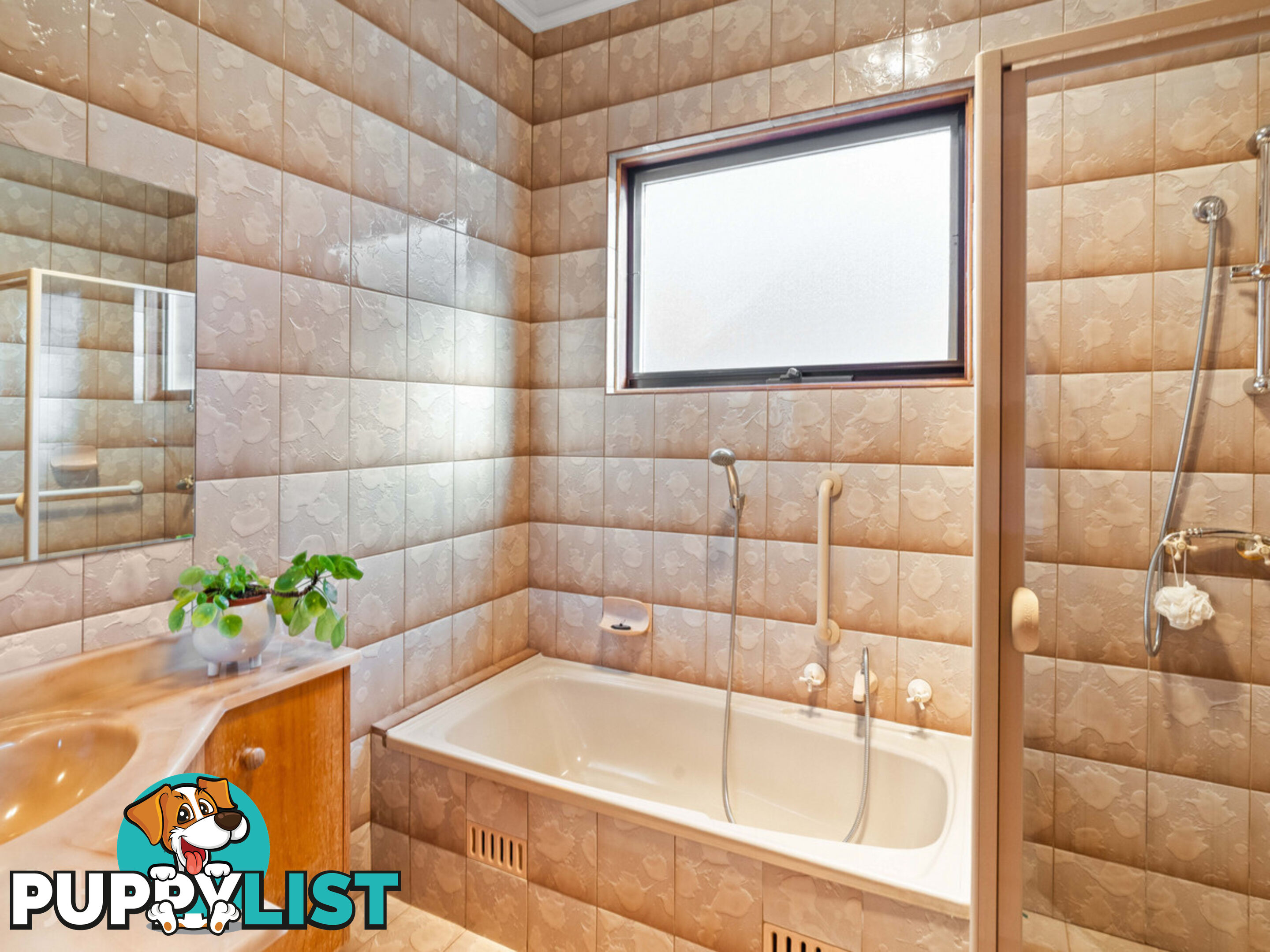 42 Roebuck Street MILE END SA 5031