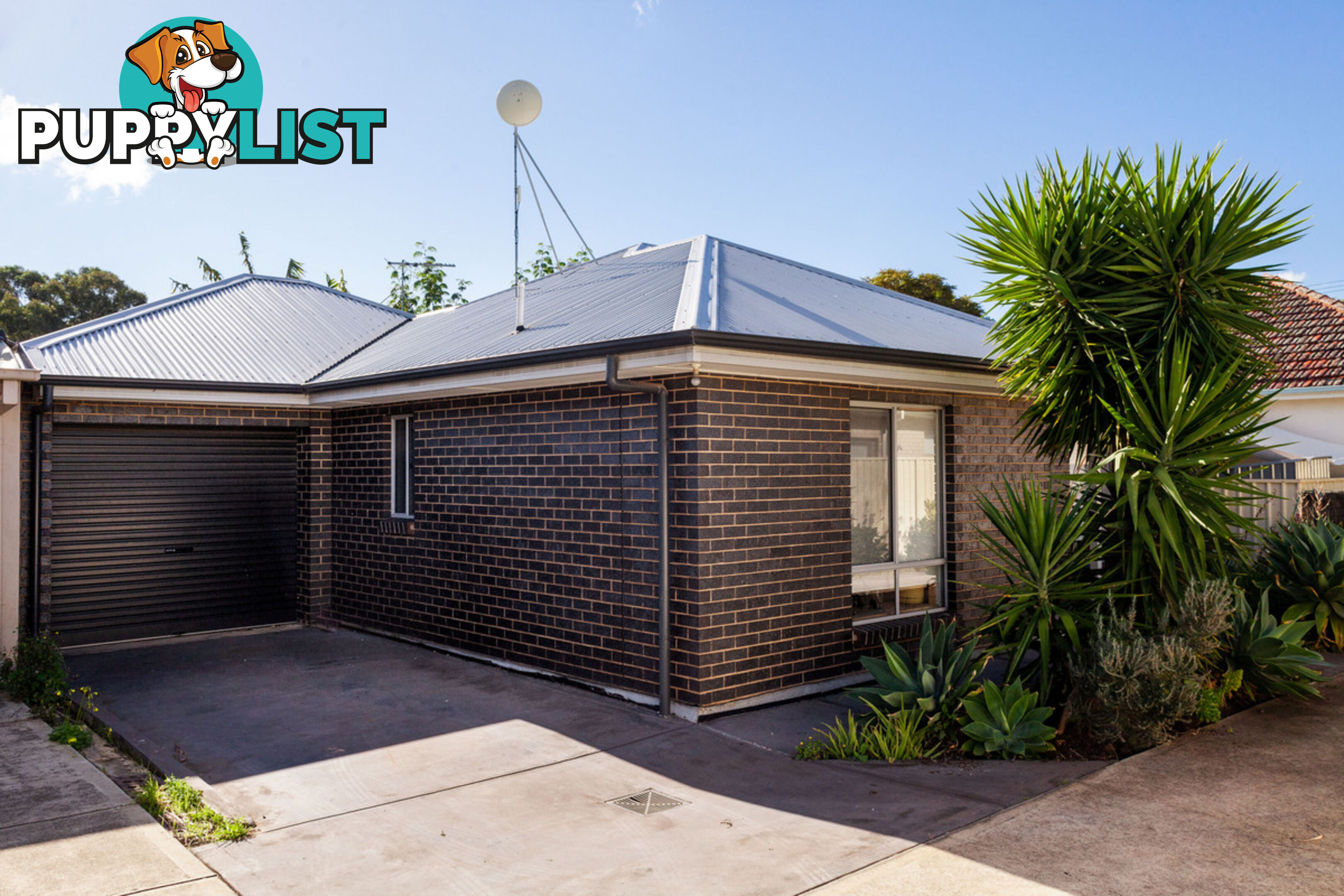 17 Crossley Avenue CROYDON PARK SA 5008