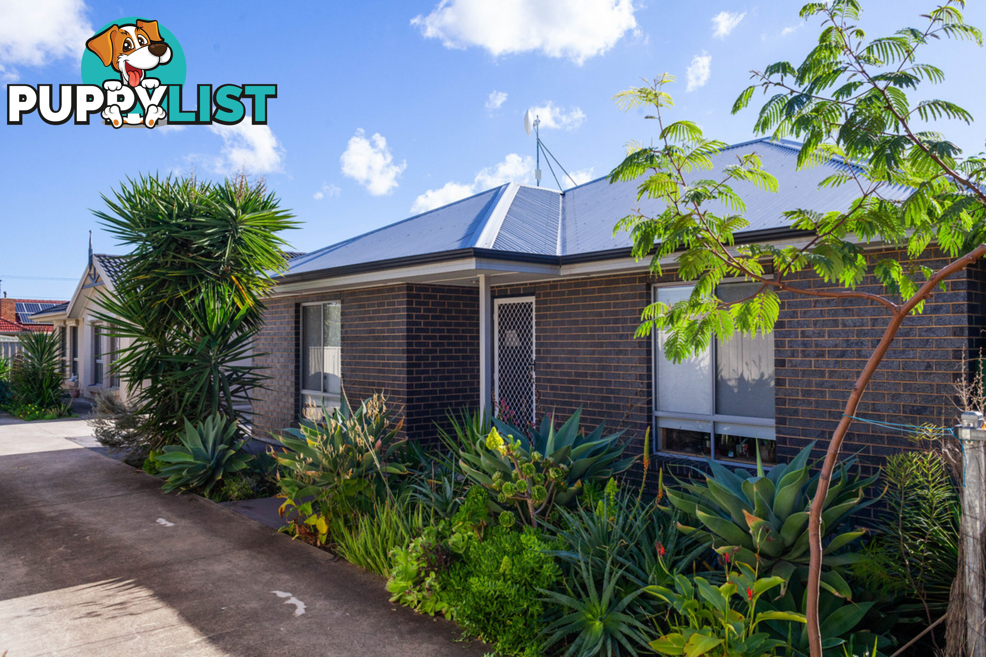 17 Crossley Avenue CROYDON PARK SA 5008