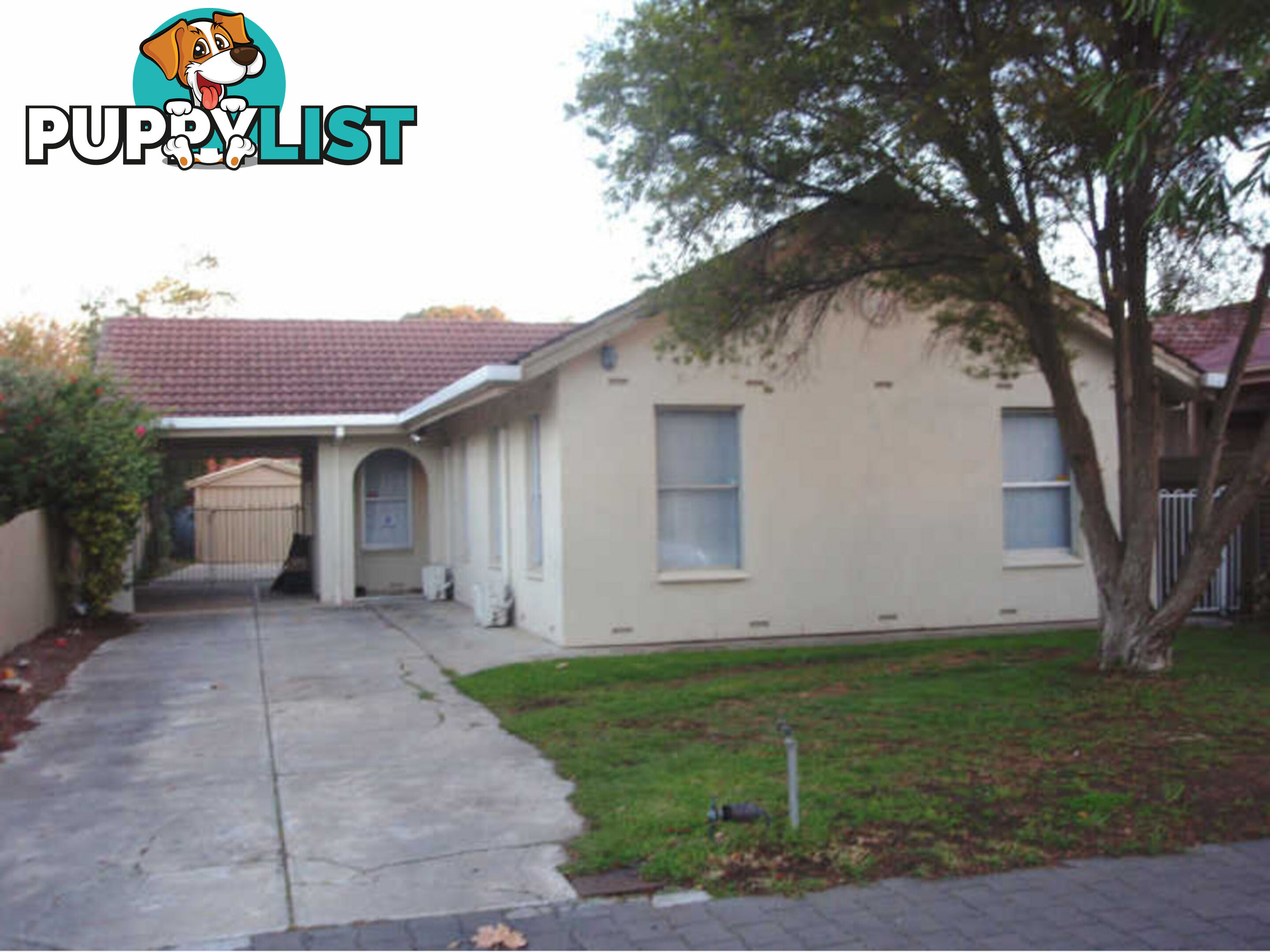 209 Young Street UNLEY SA 5061