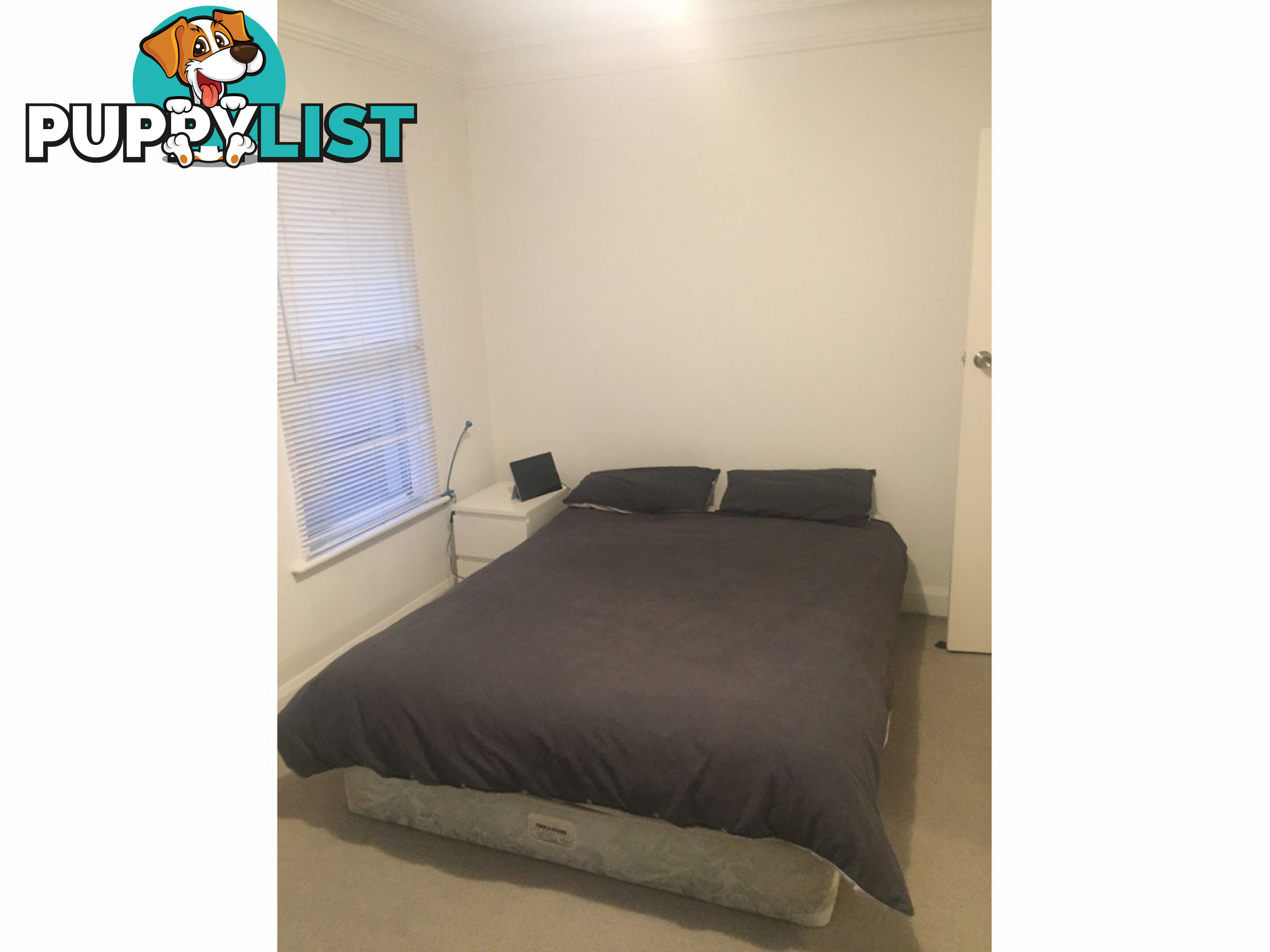 209 Young Street UNLEY SA 5061