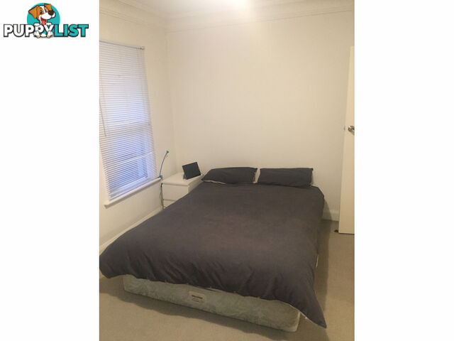 209 Young Street UNLEY SA 5061
