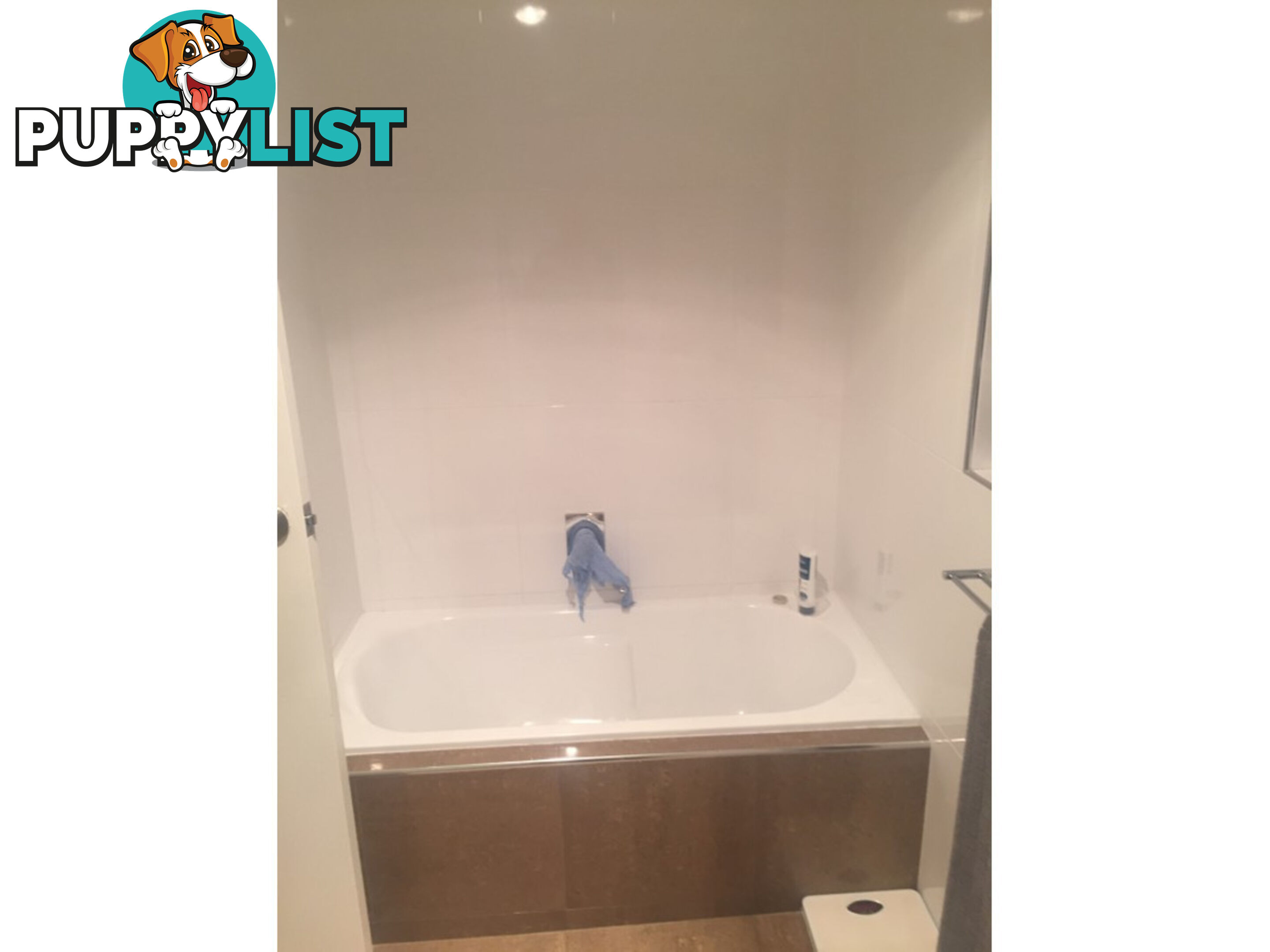 209 Young Street UNLEY SA 5061