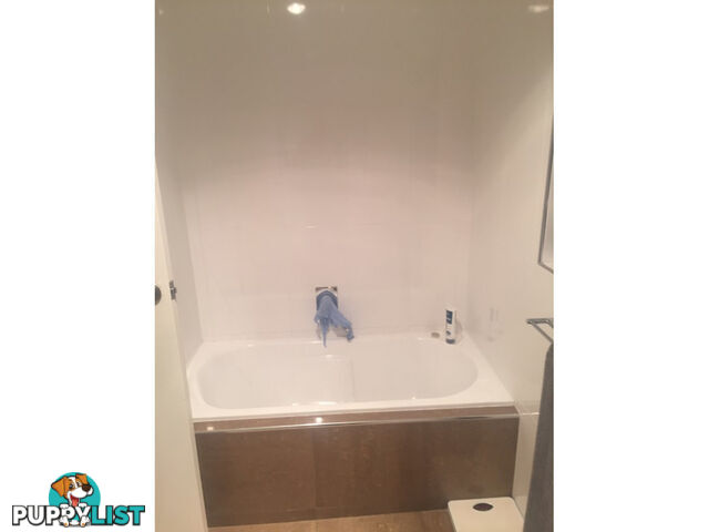 209 Young Street UNLEY SA 5061