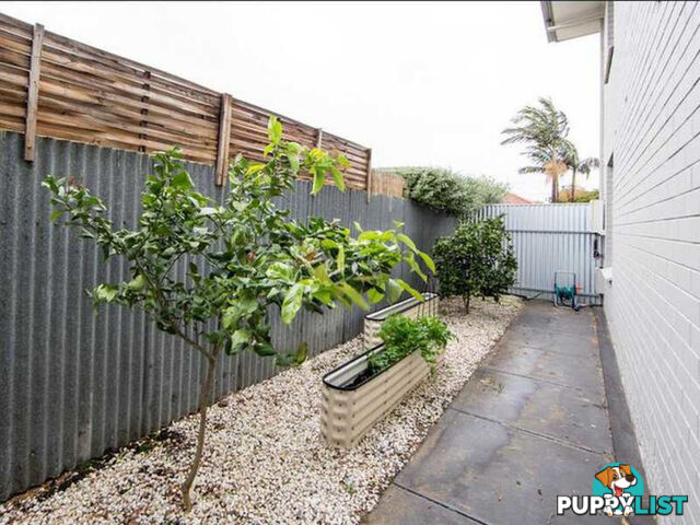 4/41 Carlisle Street CAMDEN PARK SA 5038