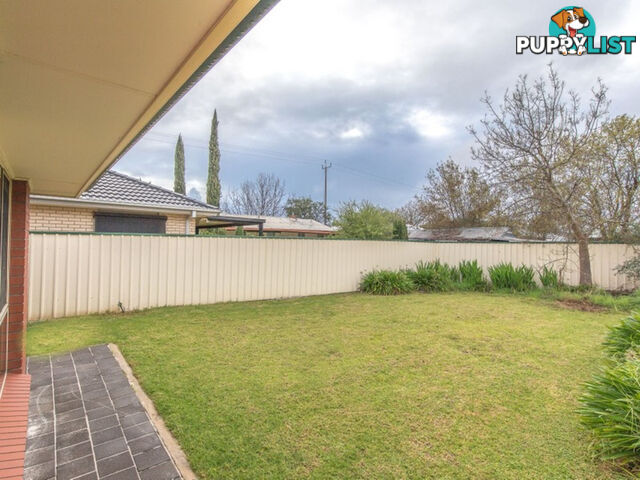 8 Shropshire Avenue HILLCREST SA 5086