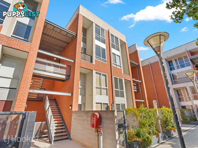 38/237 Wakefield Street ADELAIDE SA 5000