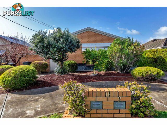 1/11 Windsor Avenue MAGILL SA 5072