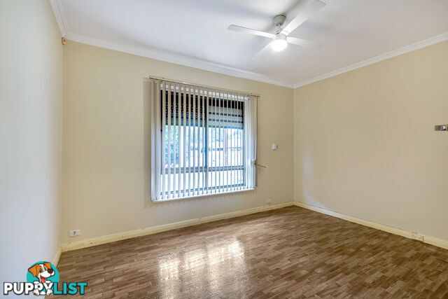 45 Ann Street CAMPBELLTOWN SA 5074