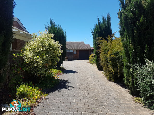 3/26 Gardiner Avenue ST MORRIS SA 5068