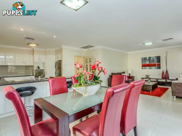 3 Virginia Grove ATHELSTONE SA 5076