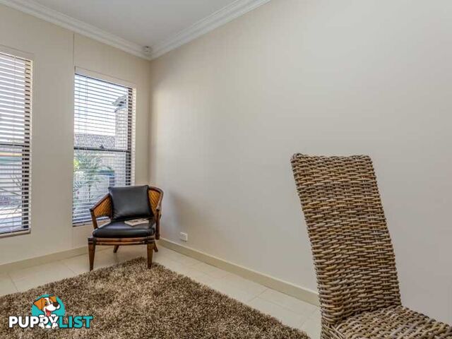 3 Virginia Grove ATHELSTONE SA 5076