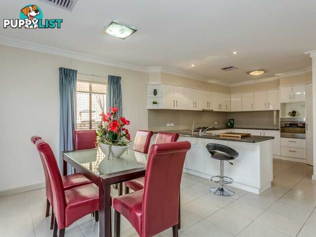3 Virginia Grove ATHELSTONE SA 5076