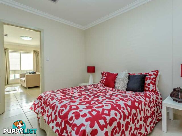 3 Virginia Grove ATHELSTONE SA 5076