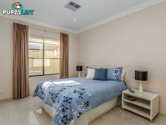 3 Virginia Grove ATHELSTONE SA 5076
