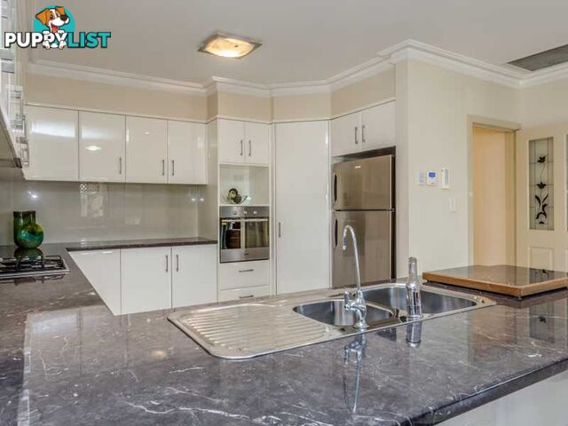 3 Virginia Grove ATHELSTONE SA 5076