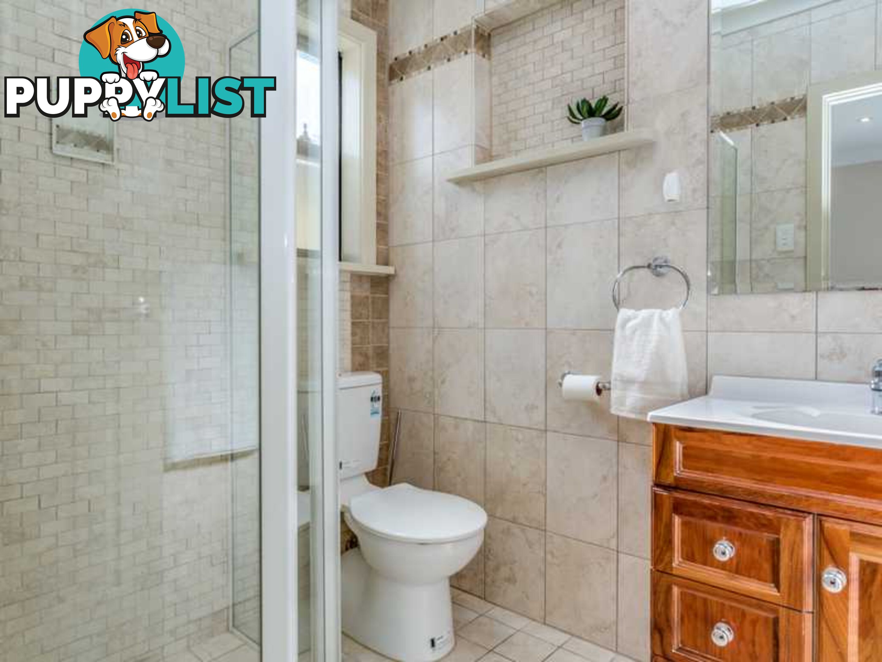 3 Virginia Grove ATHELSTONE SA 5076