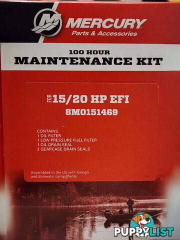 8M0151469 - 100Hour Service Kit 15/20hp EFI