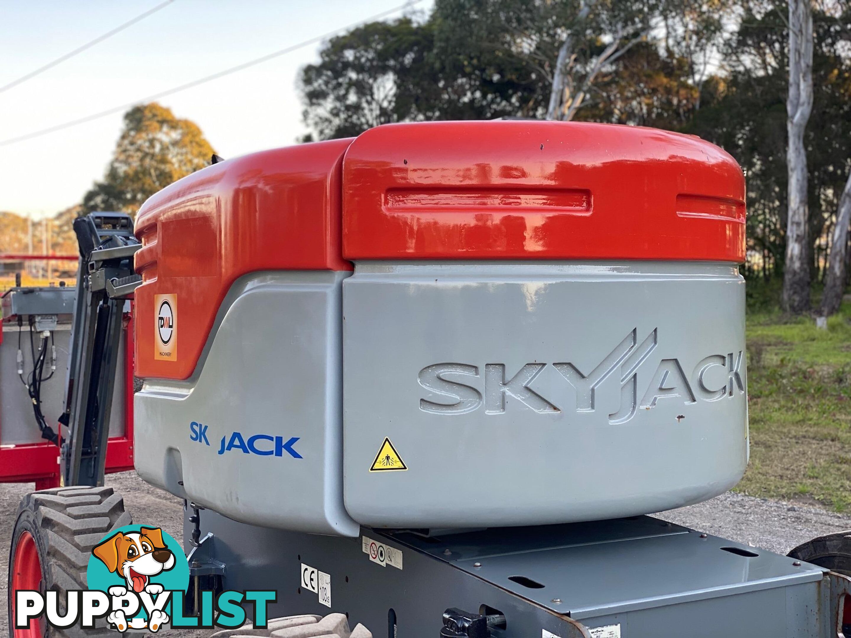 Skyjack SJ46 Boom Lift Access &amp; Height Safety