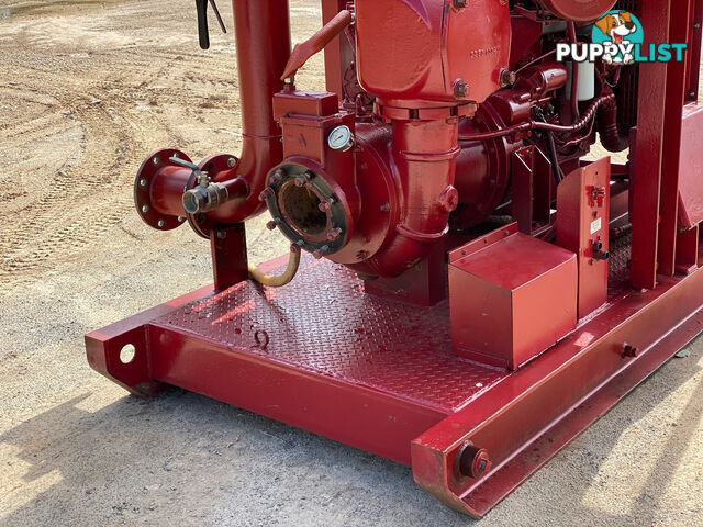 Sykes CP150I Pump Irrigation/Water