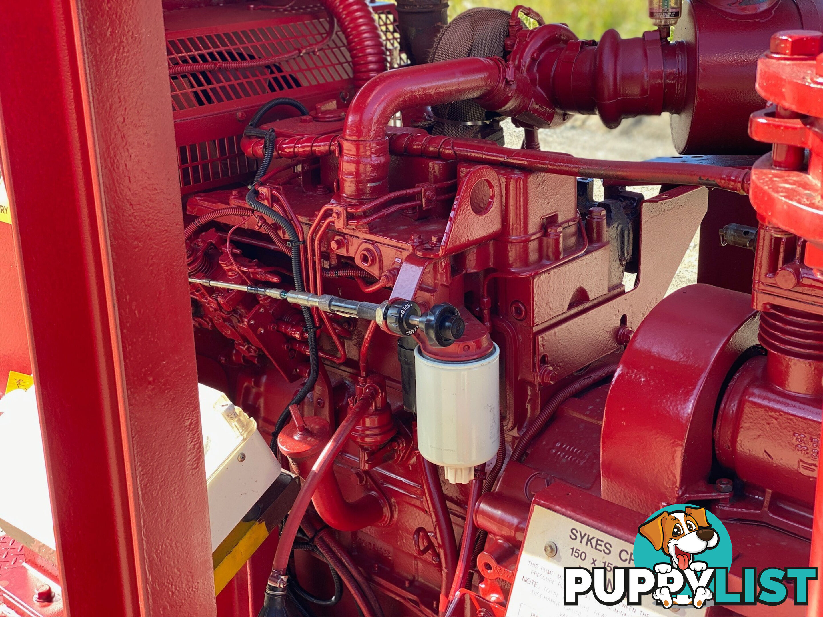 Sykes CP150I Pump Irrigation/Water