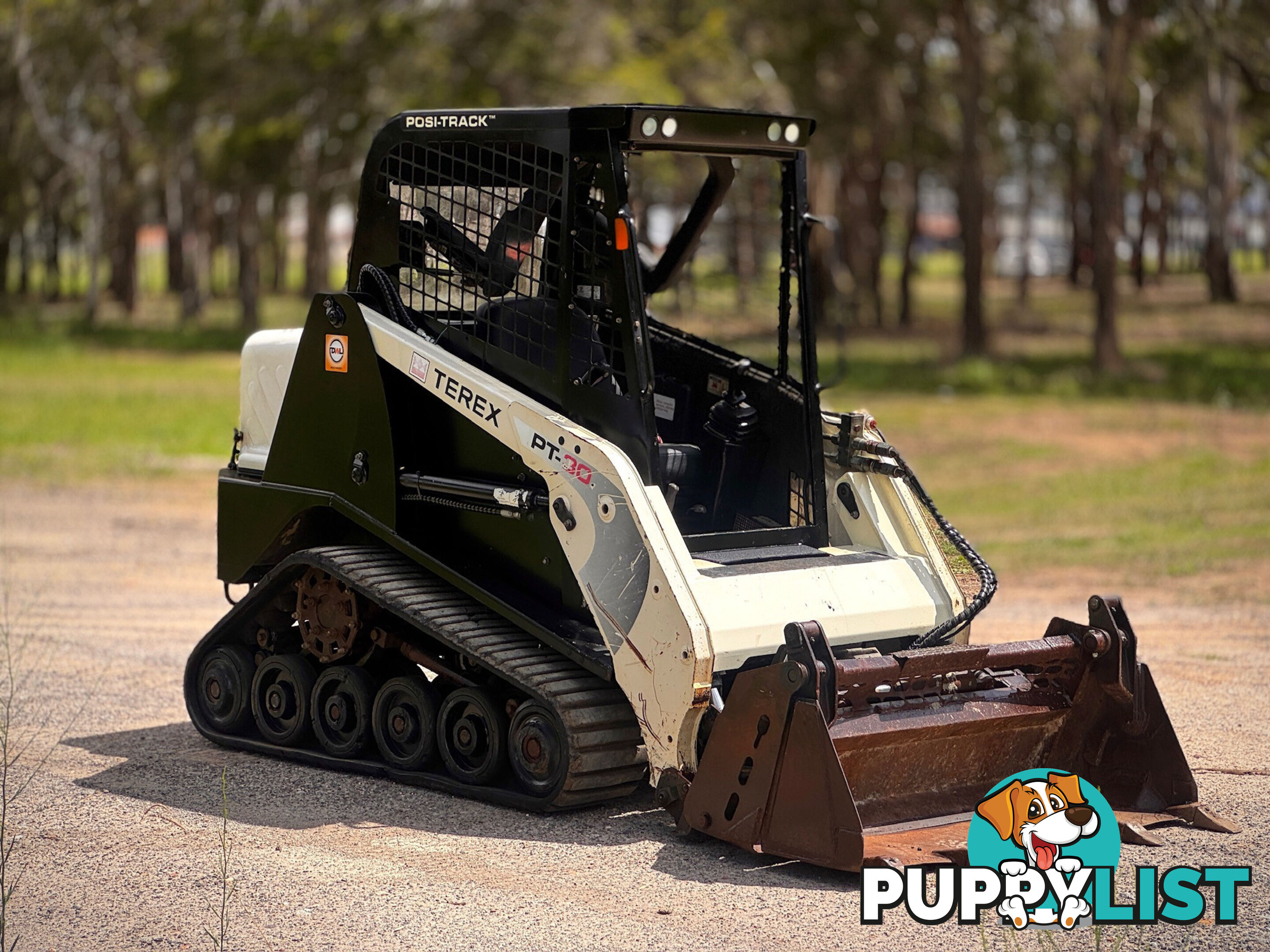 Terex PT30 Skid Steer Loader