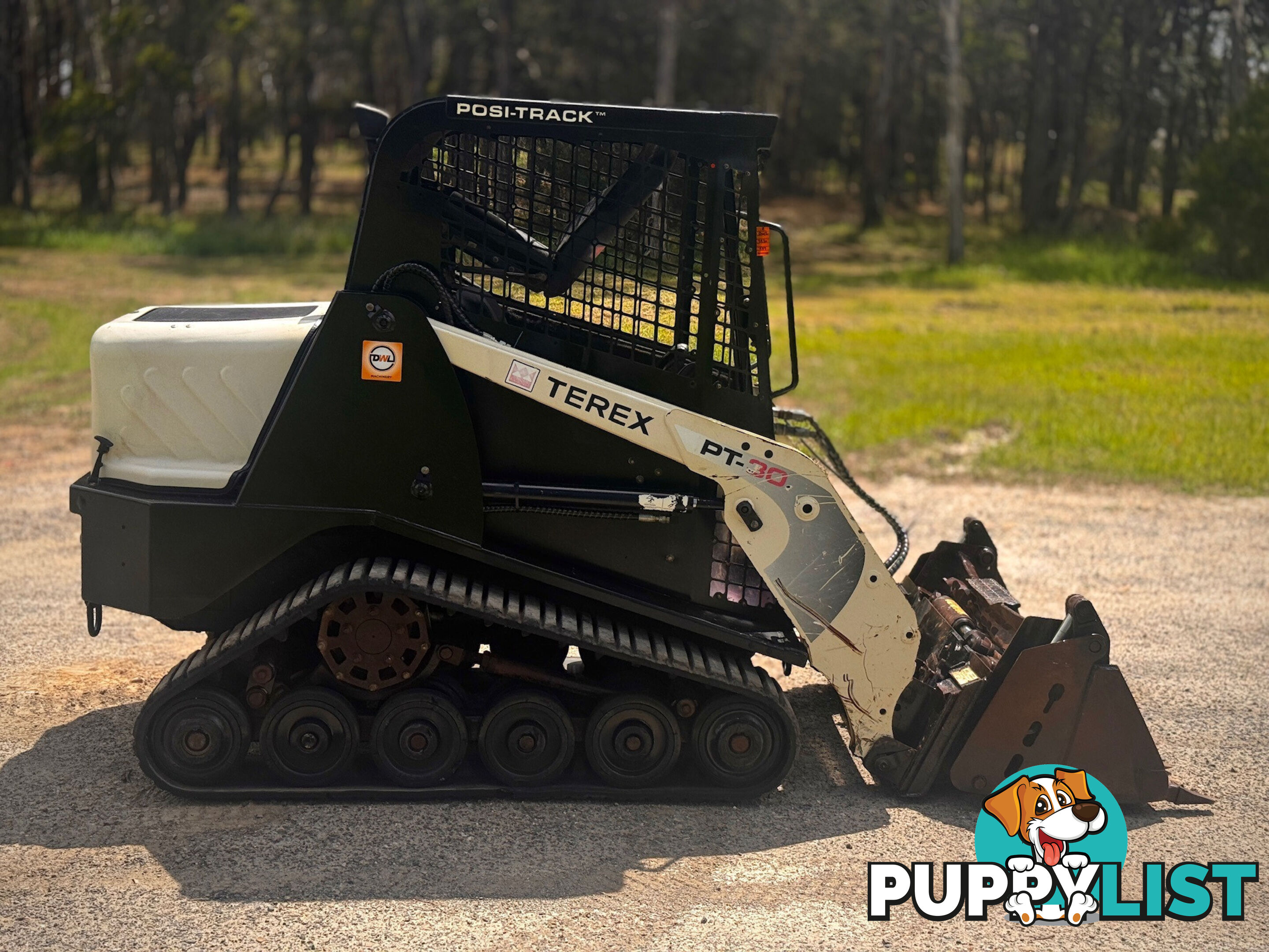 Terex PT30 Skid Steer Loader