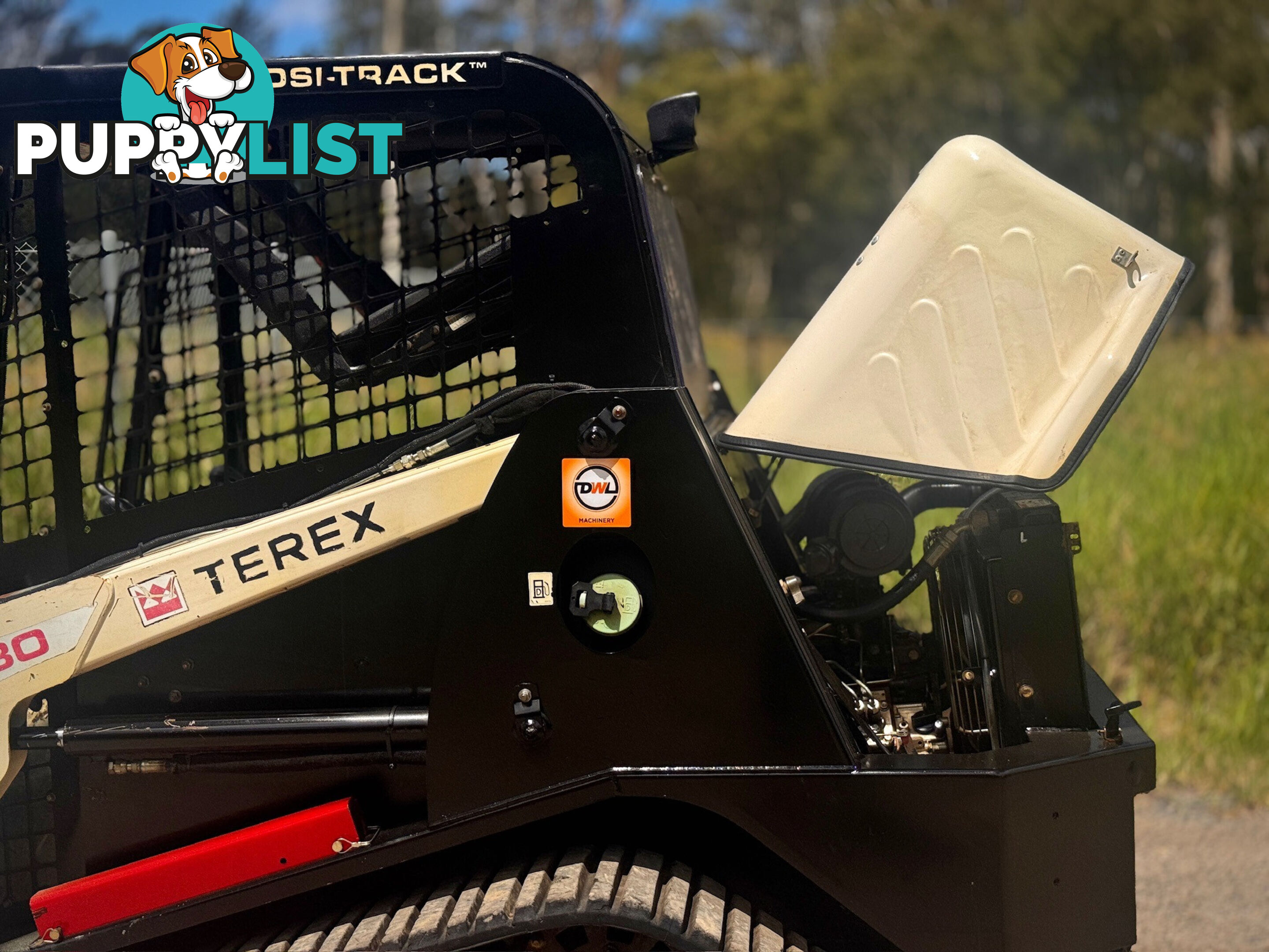 Terex PT30 Skid Steer Loader