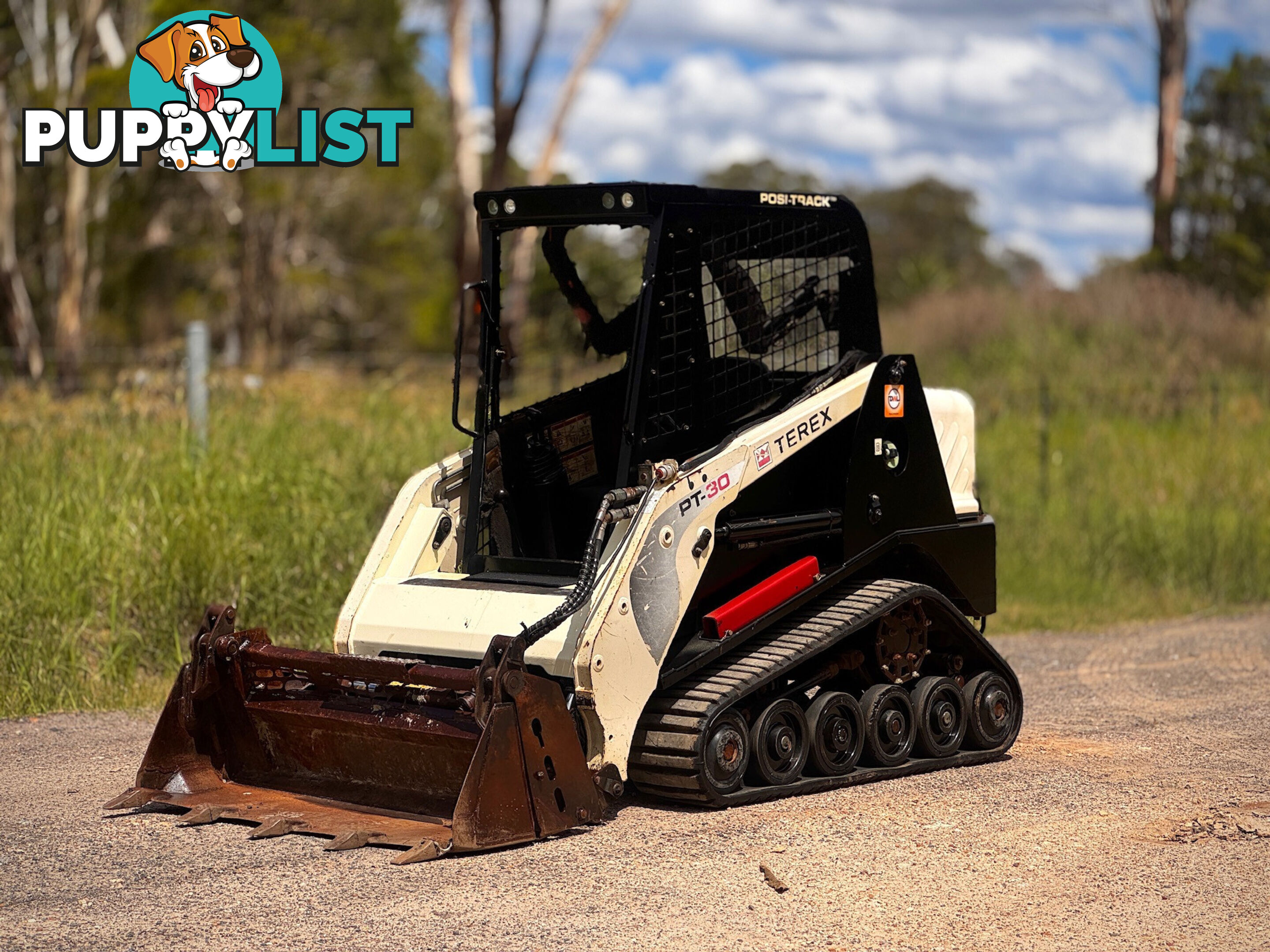 Terex PT30 Skid Steer Loader