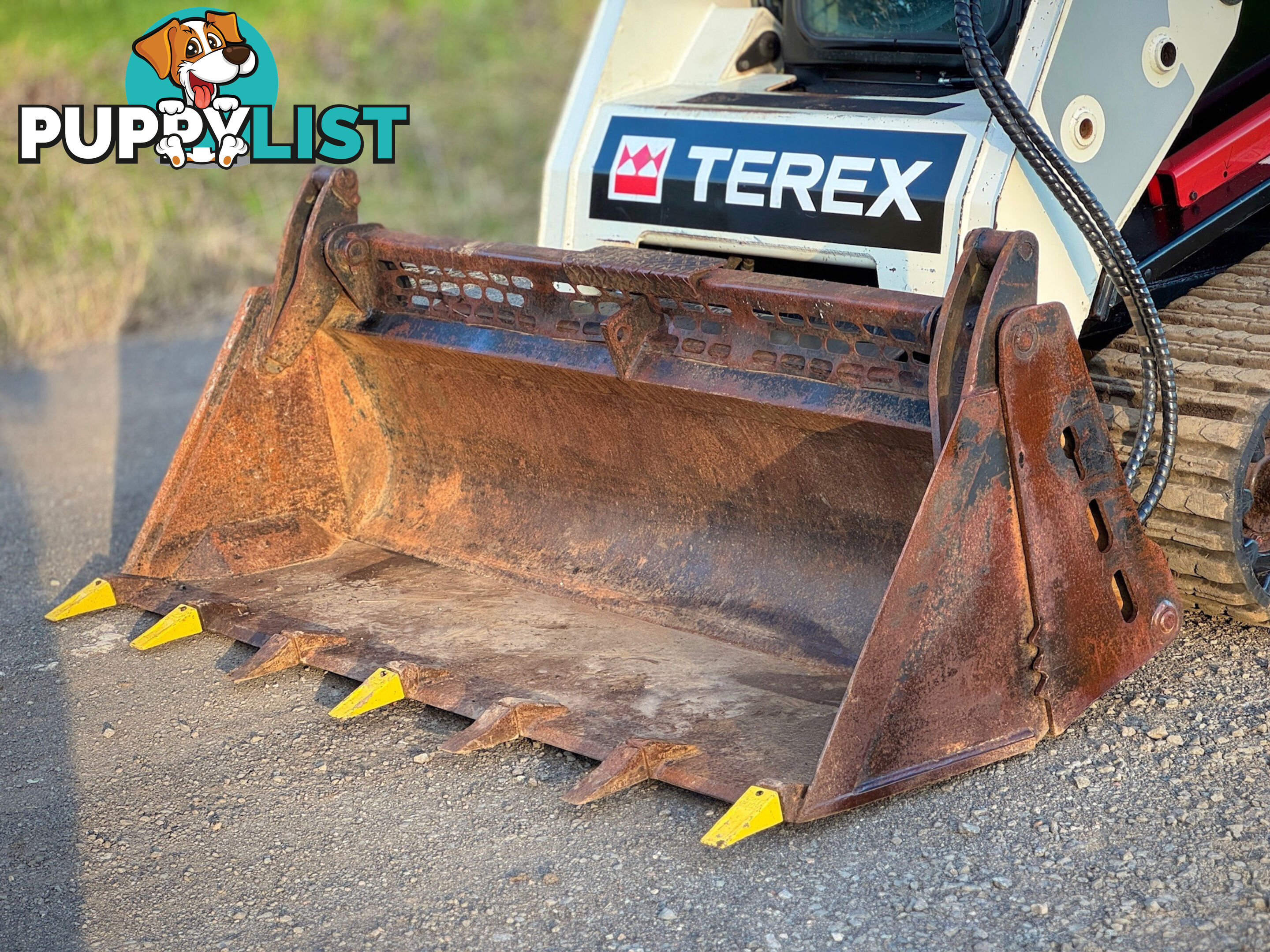Terex PT60  Skid Steer Loader