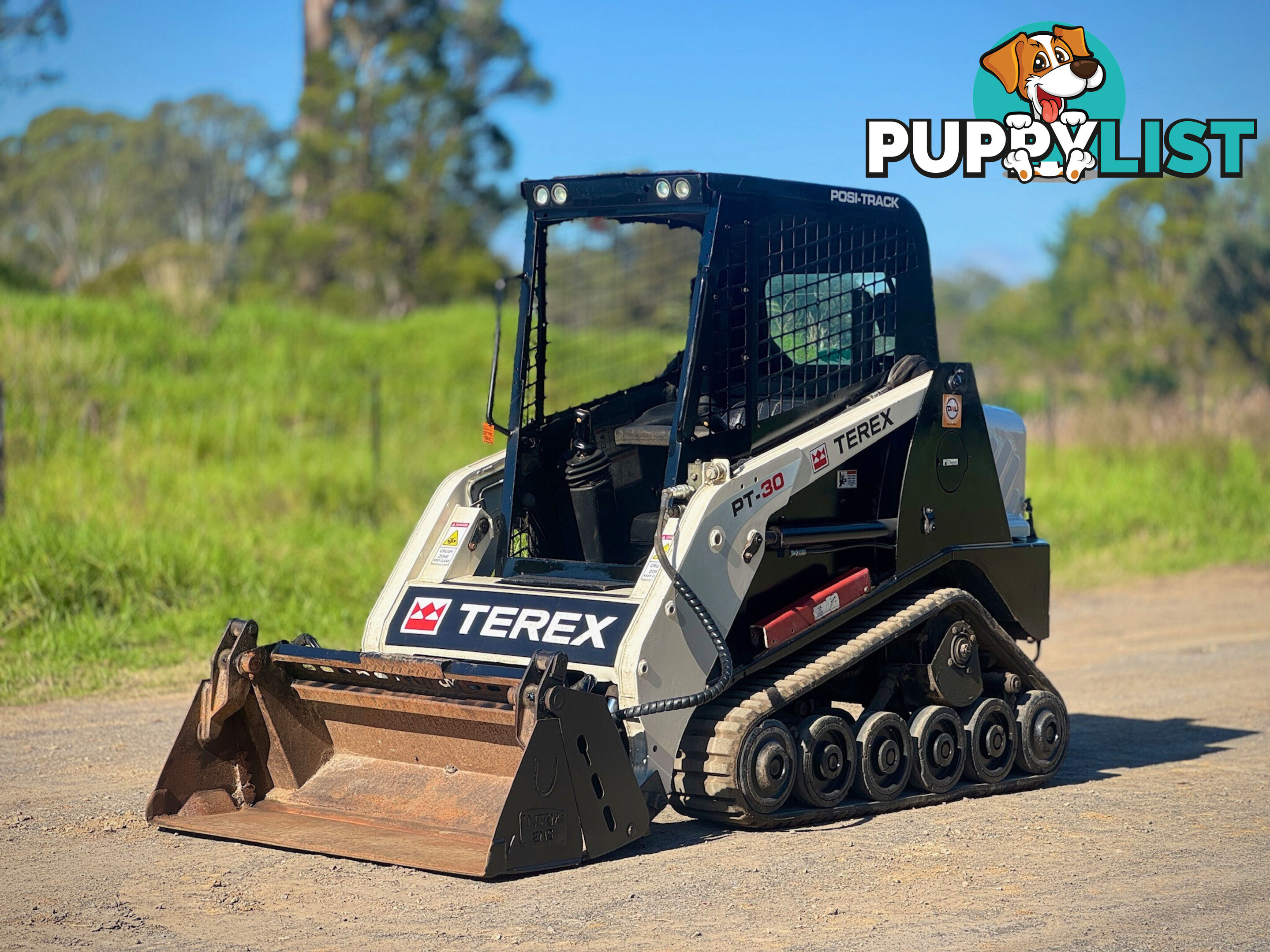 Terex PT30 Skid Steer Loader