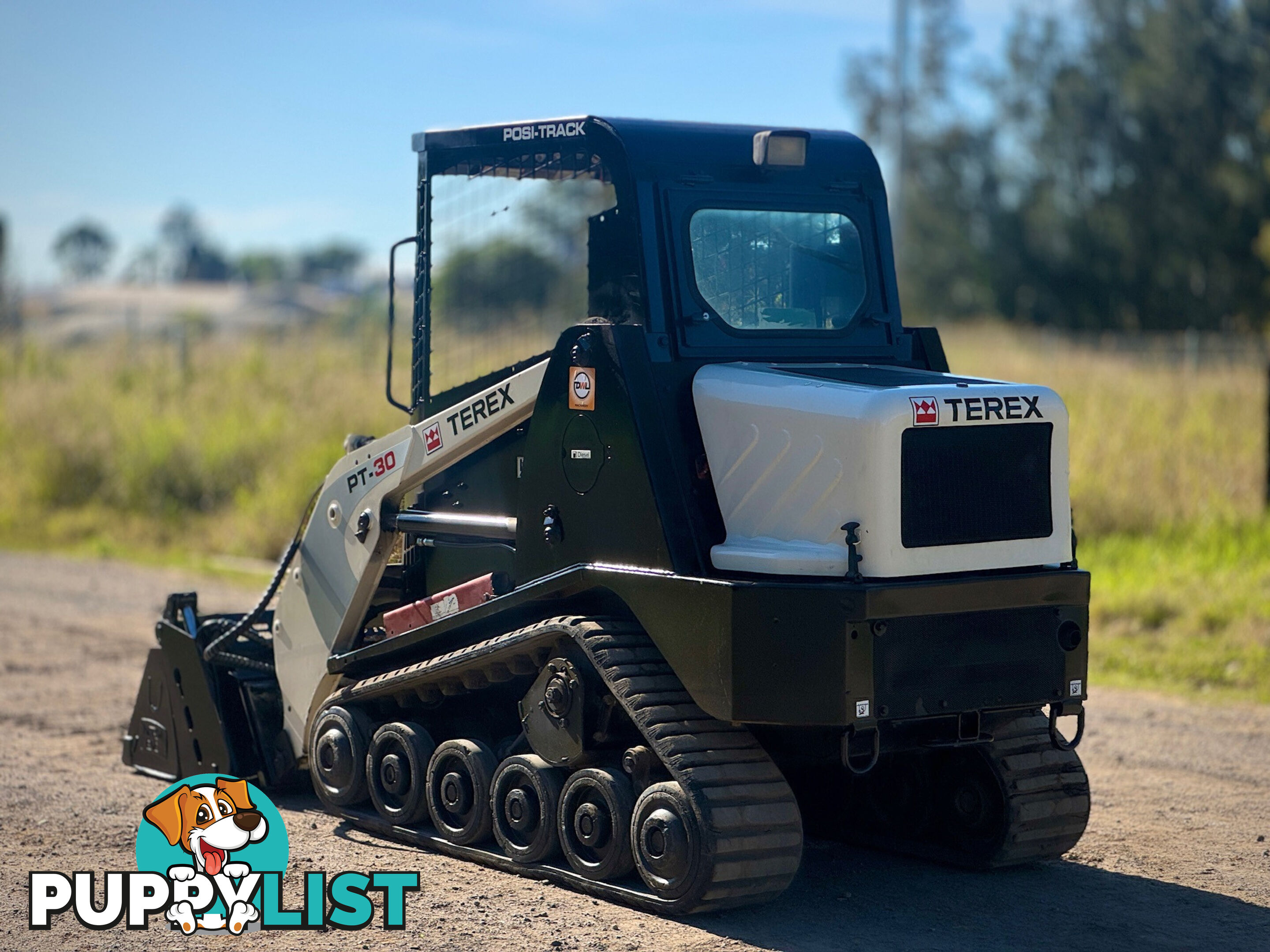 Terex PT30 Skid Steer Loader