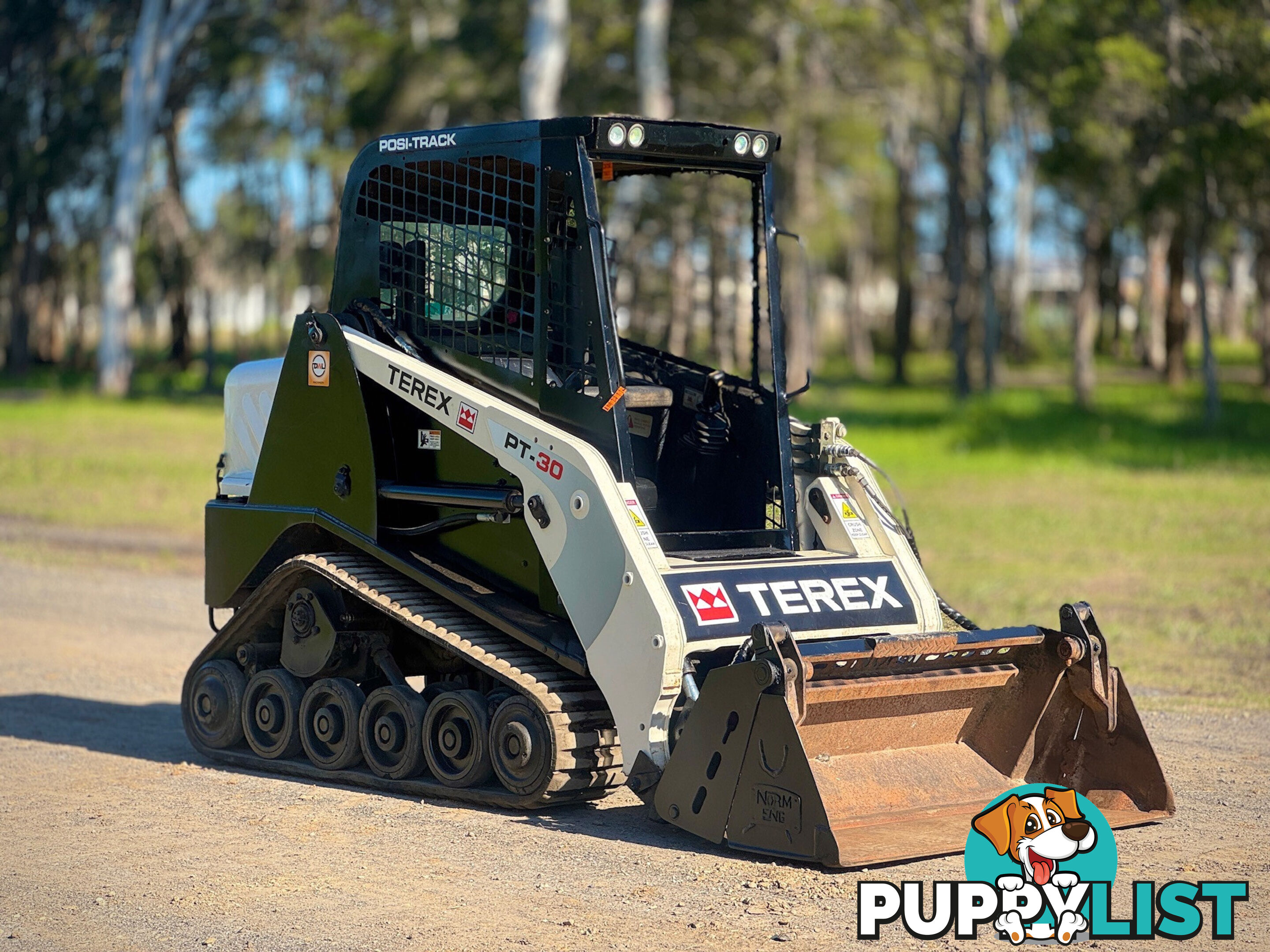 Terex PT30 Skid Steer Loader