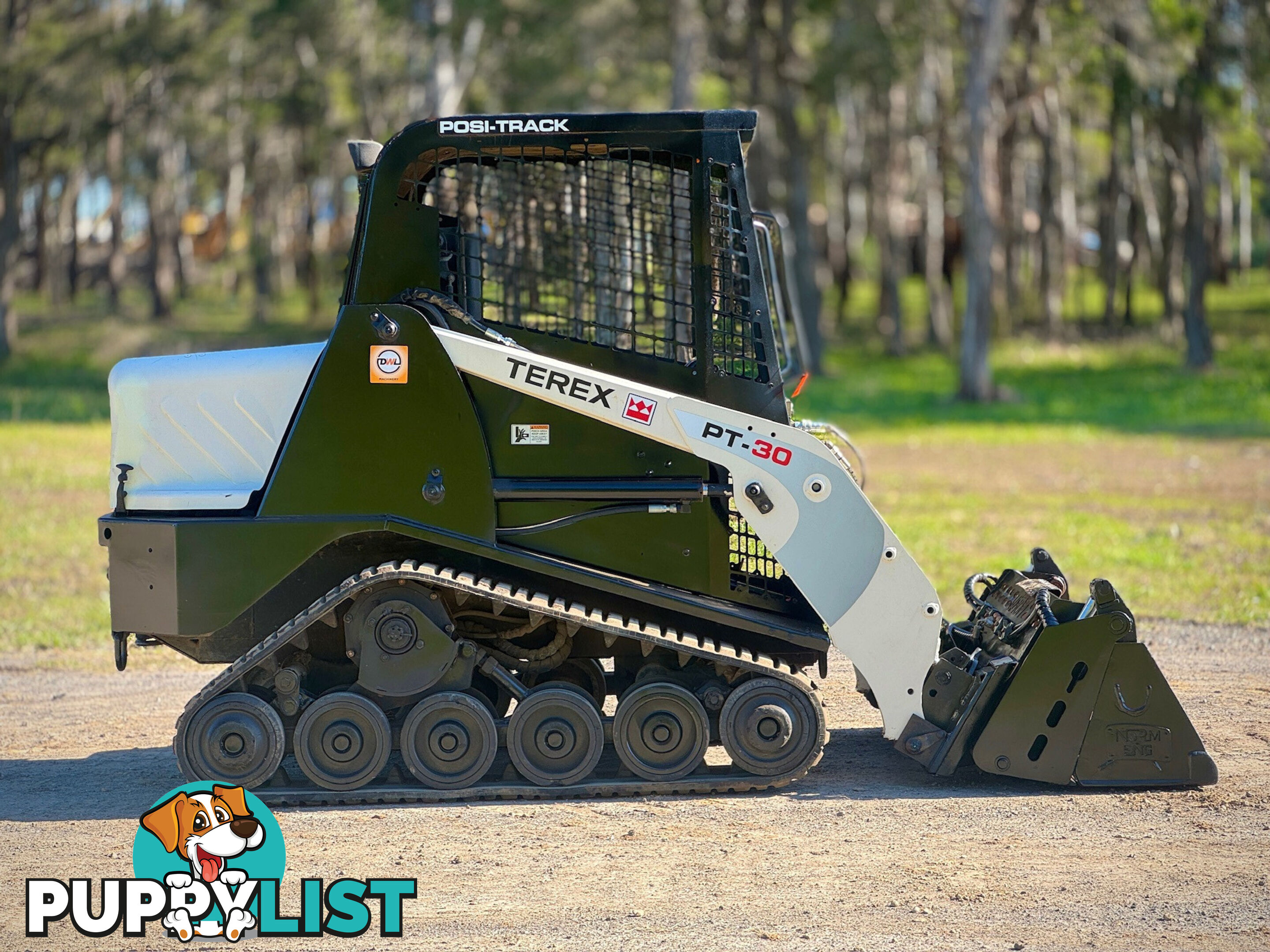 Terex PT30 Skid Steer Loader