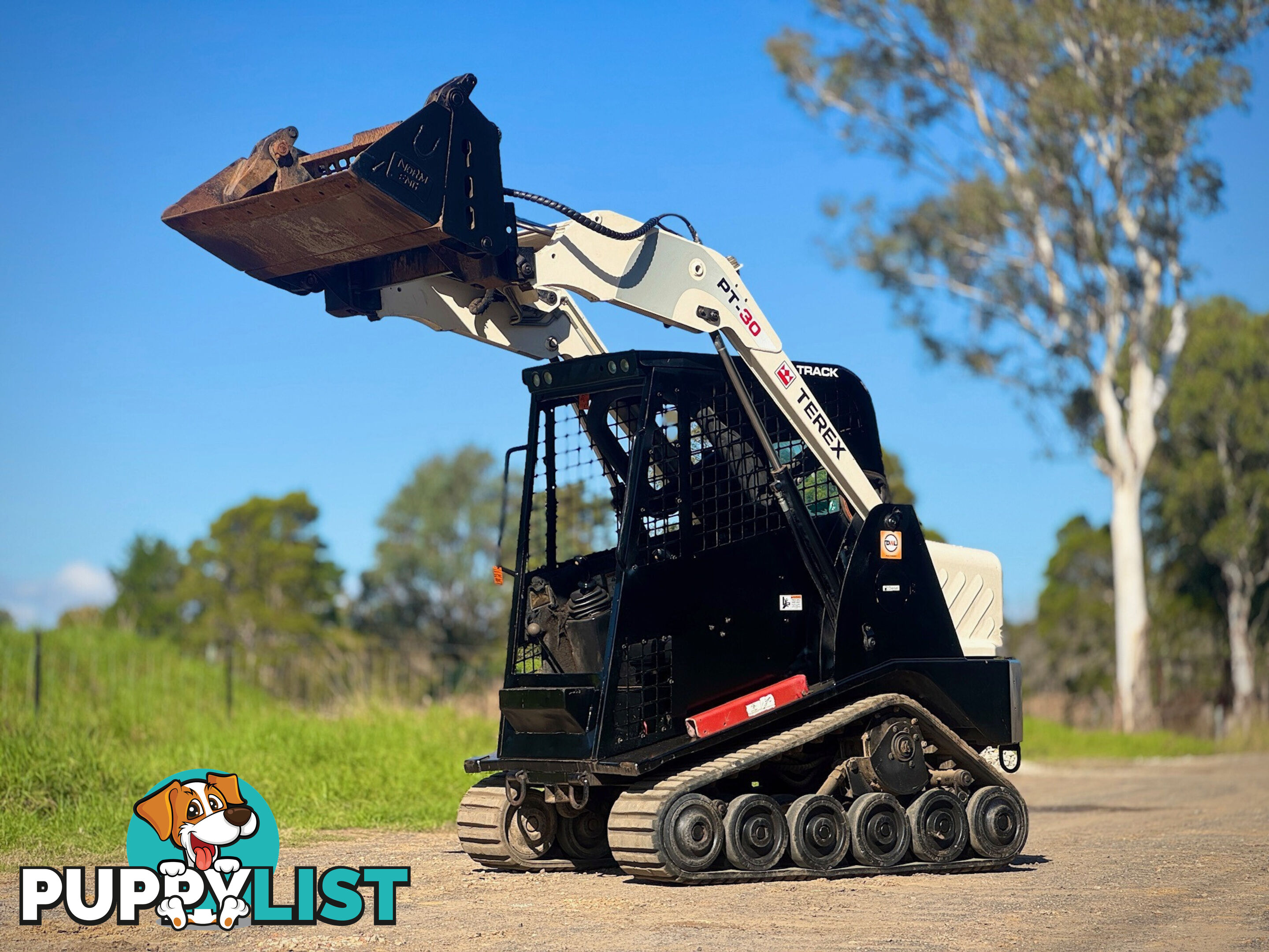 Terex PT30 Skid Steer Loader