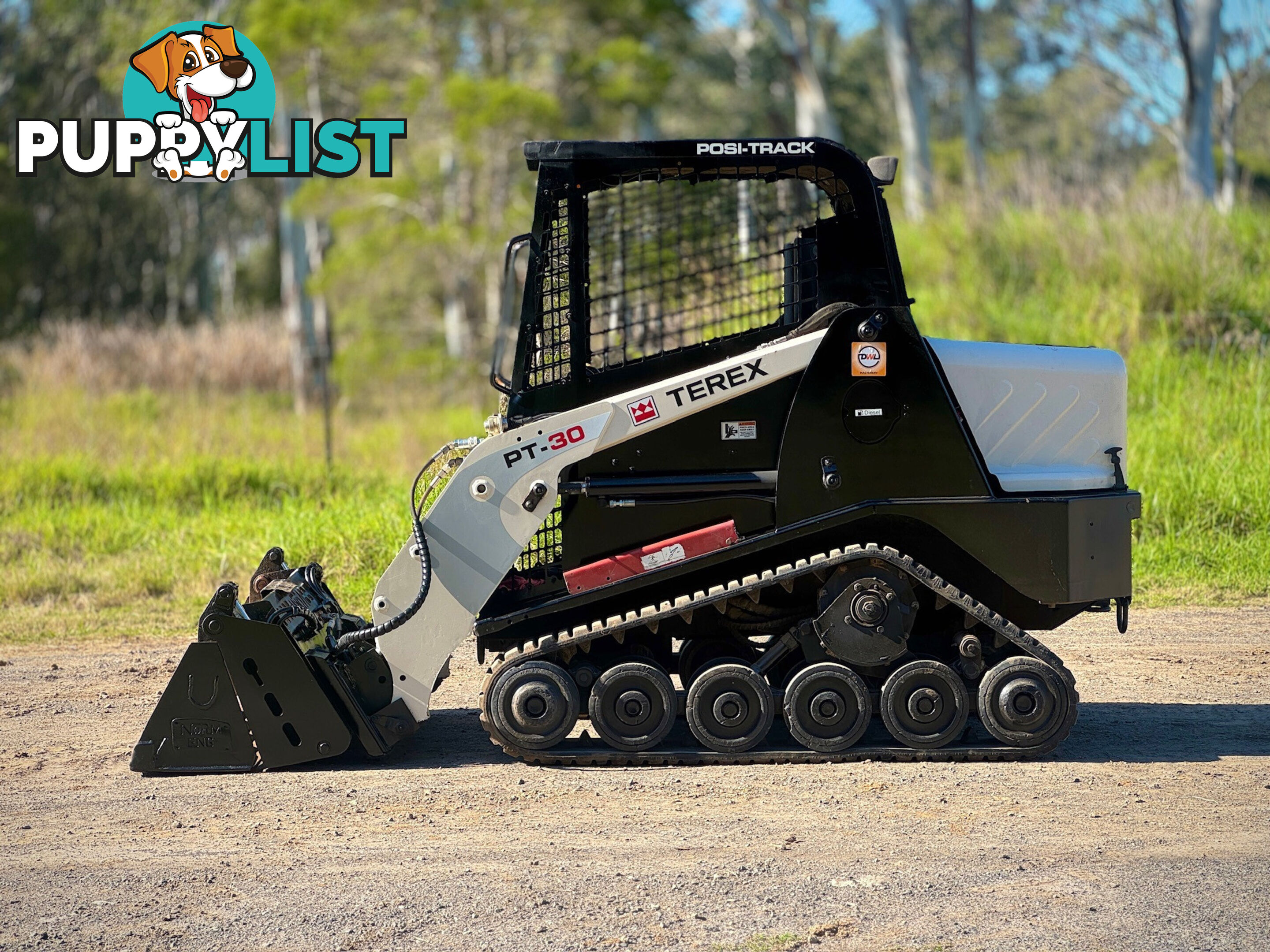 Terex PT30 Skid Steer Loader