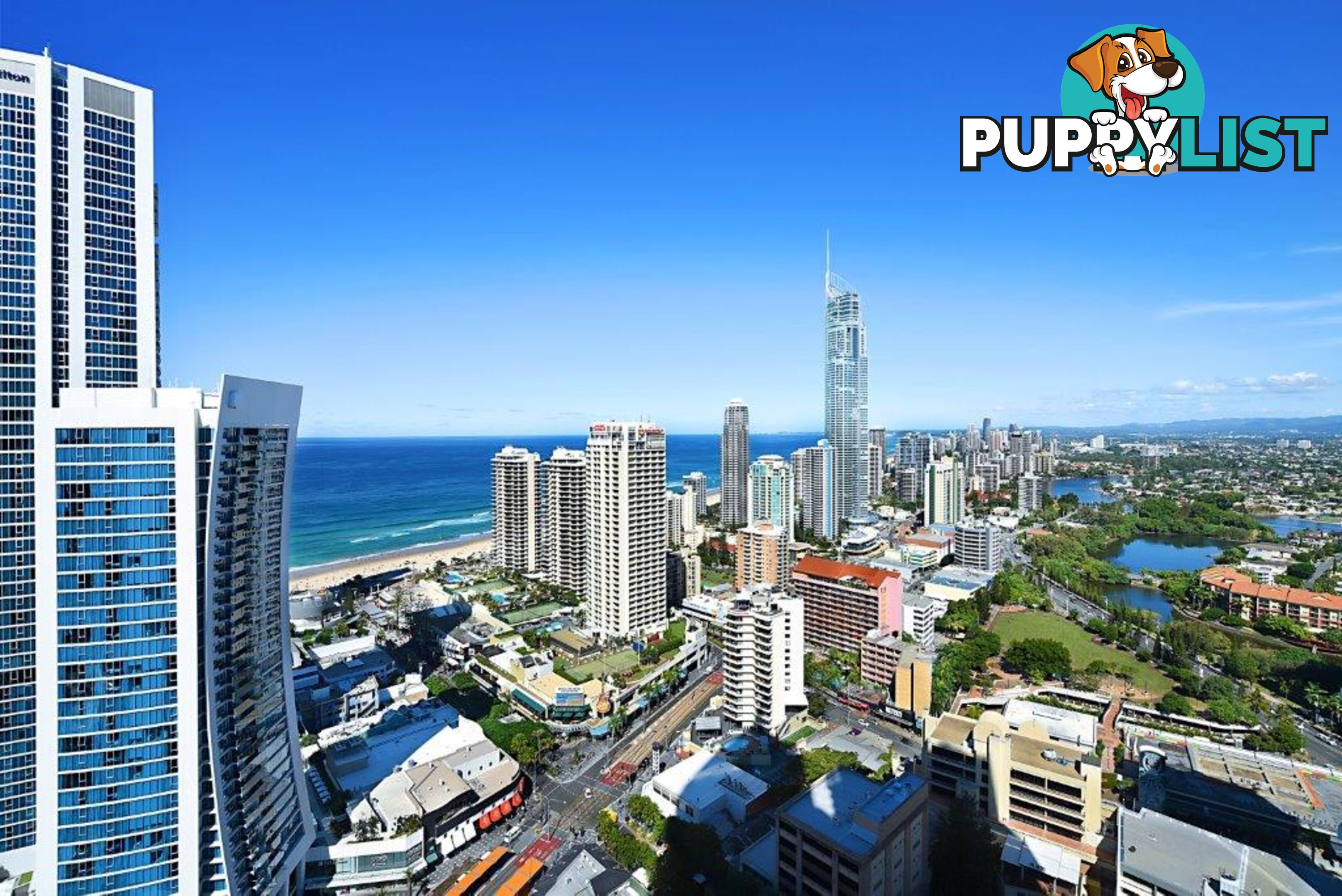 9 Ferny Avenue SURFERS PARADISE QLD 4217