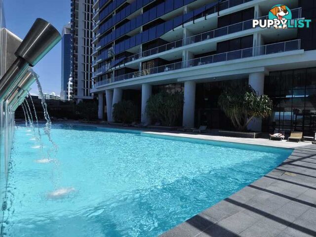 9 Ferny Avenue SURFERS PARADISE QLD 4217