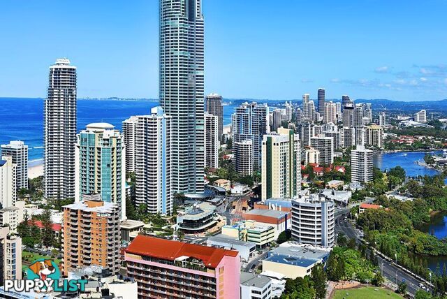 9 Ferny Avenue SURFERS PARADISE QLD 4217