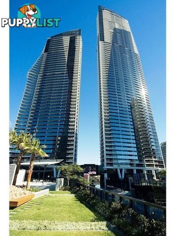 9 Ferny Avenue SURFERS PARADISE QLD 4217