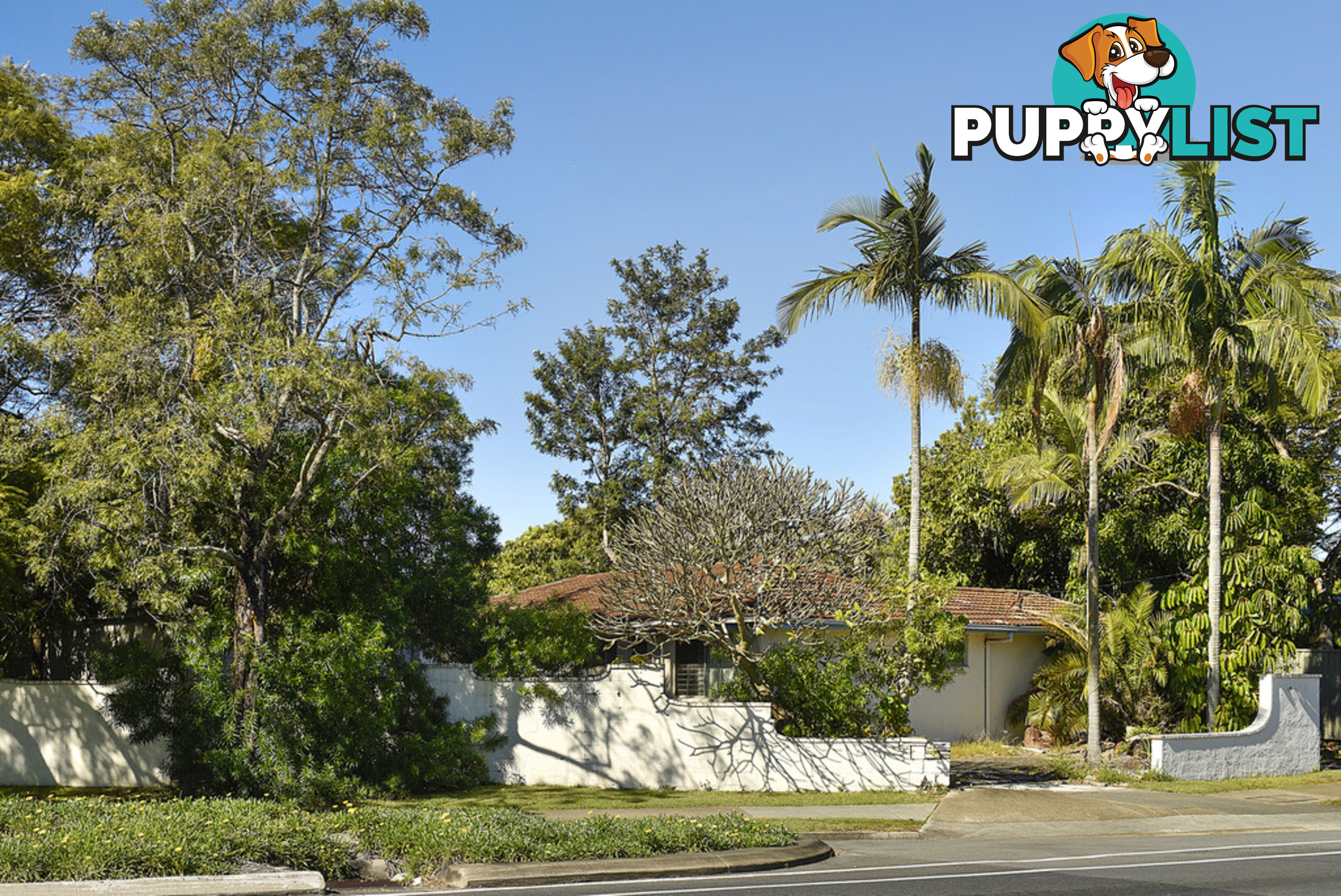70 T E Peters Drive BROADBEACH WATERS QLD 4218