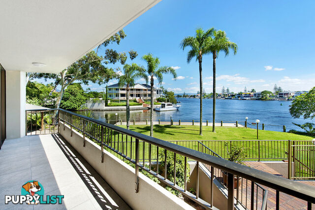 37 Monaco Street SURFERS PARADISE QLD 4217