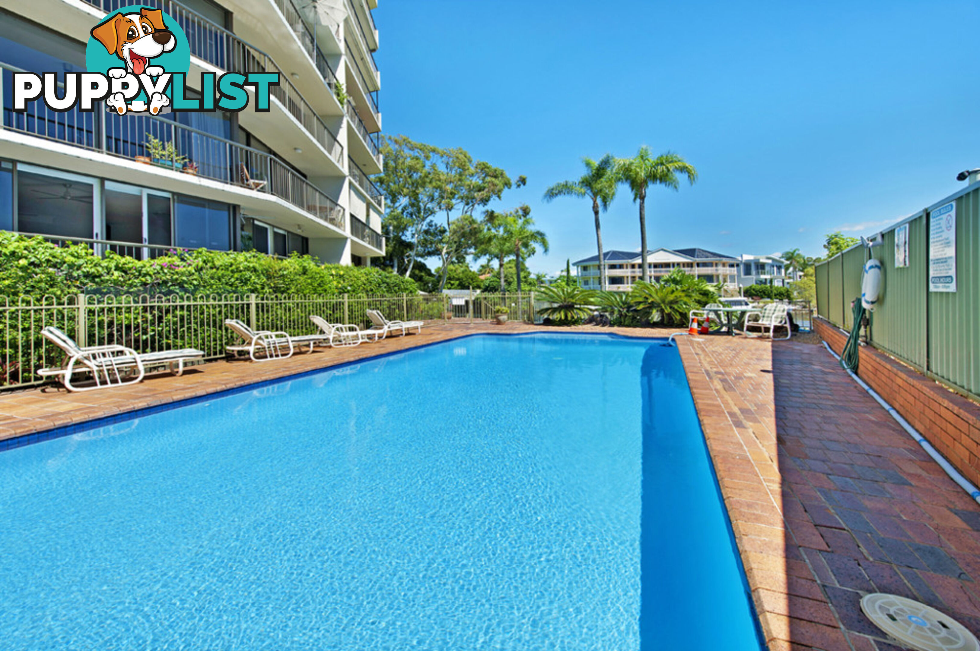 37 Monaco Street SURFERS PARADISE QLD 4217