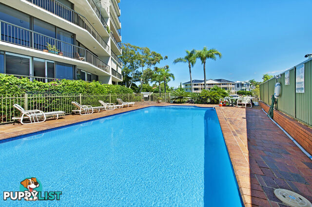 37 Monaco Street SURFERS PARADISE QLD 4217