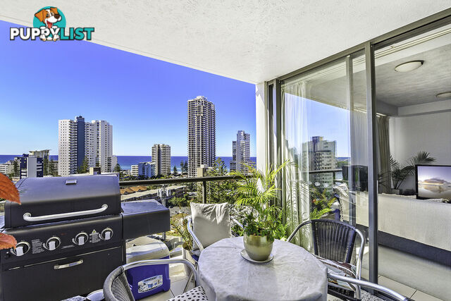 1103/2865 Gold Coast Highway SURFERS PARADISE QLD 4217