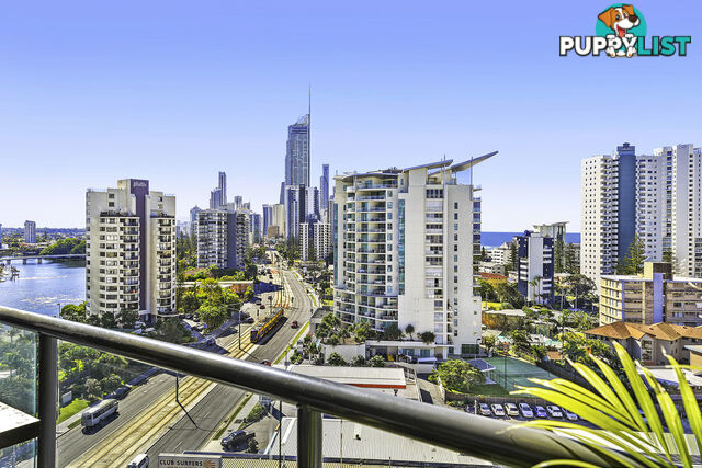 1103/2865 Gold Coast Highway SURFERS PARADISE QLD 4217