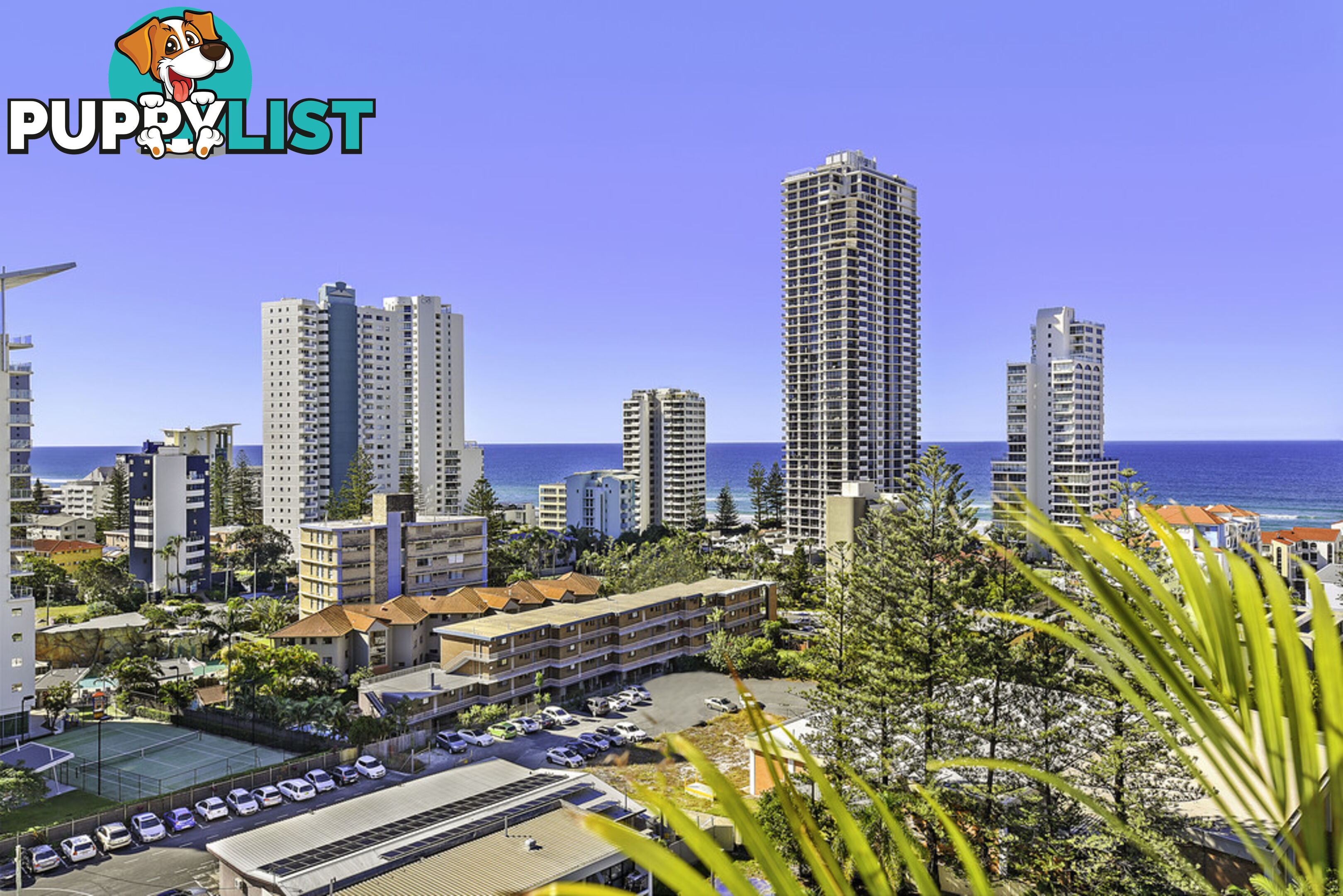 1103/2865 Gold Coast Highway SURFERS PARADISE QLD 4217