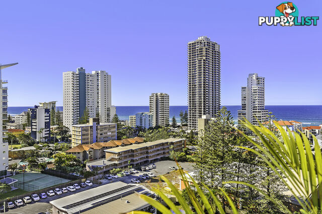 1103/2865 Gold Coast Highway SURFERS PARADISE QLD 4217