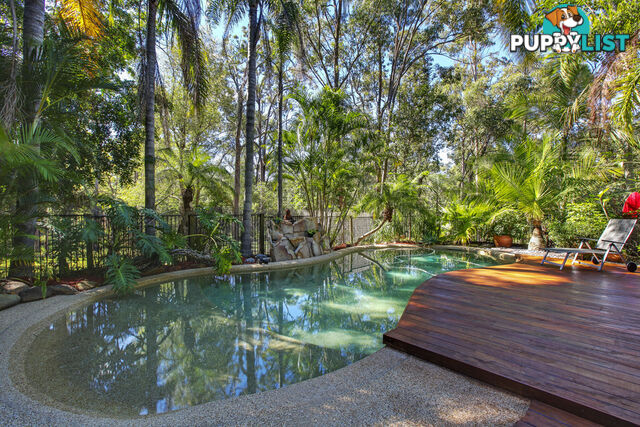 5 Reeves Street NERANG QLD 4211