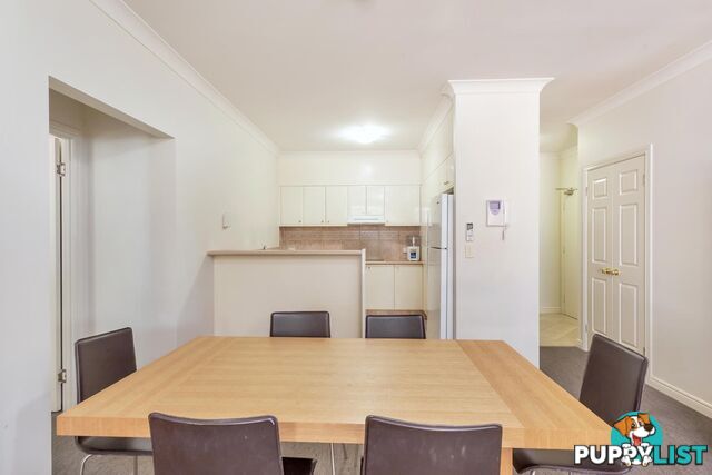 4/7 Elkhorn Avenue SURFERS PARADISE QLD 4217